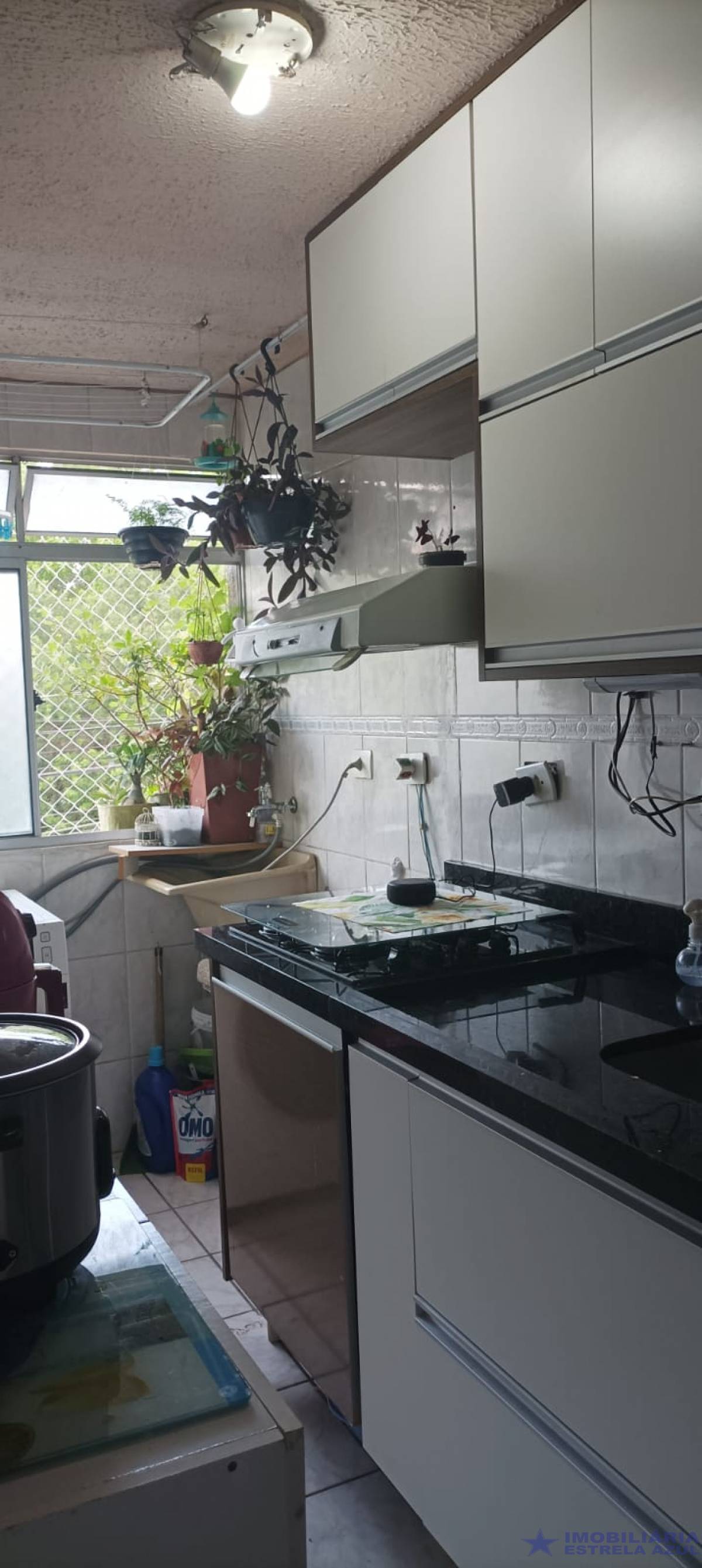 Apartamento no bairro Pirituba 