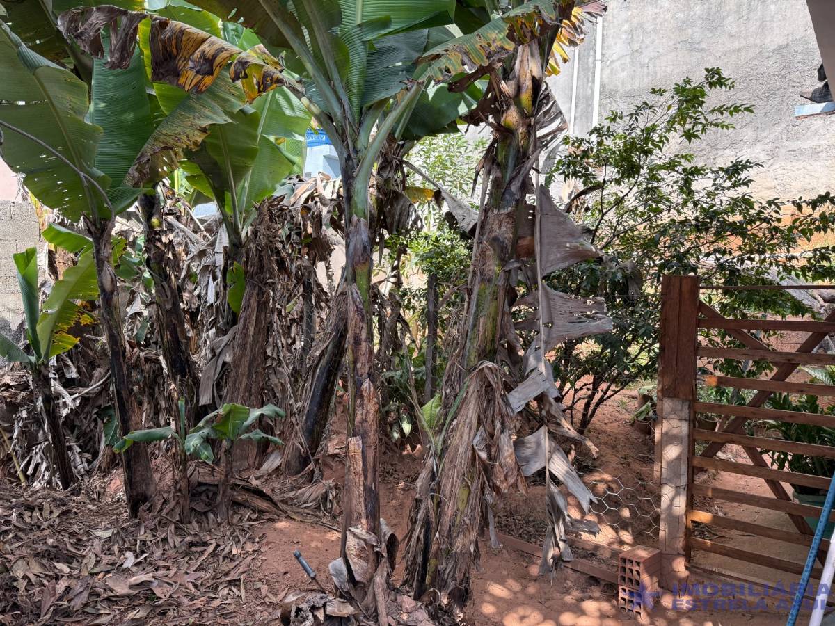 Conjunto no bairro Perus