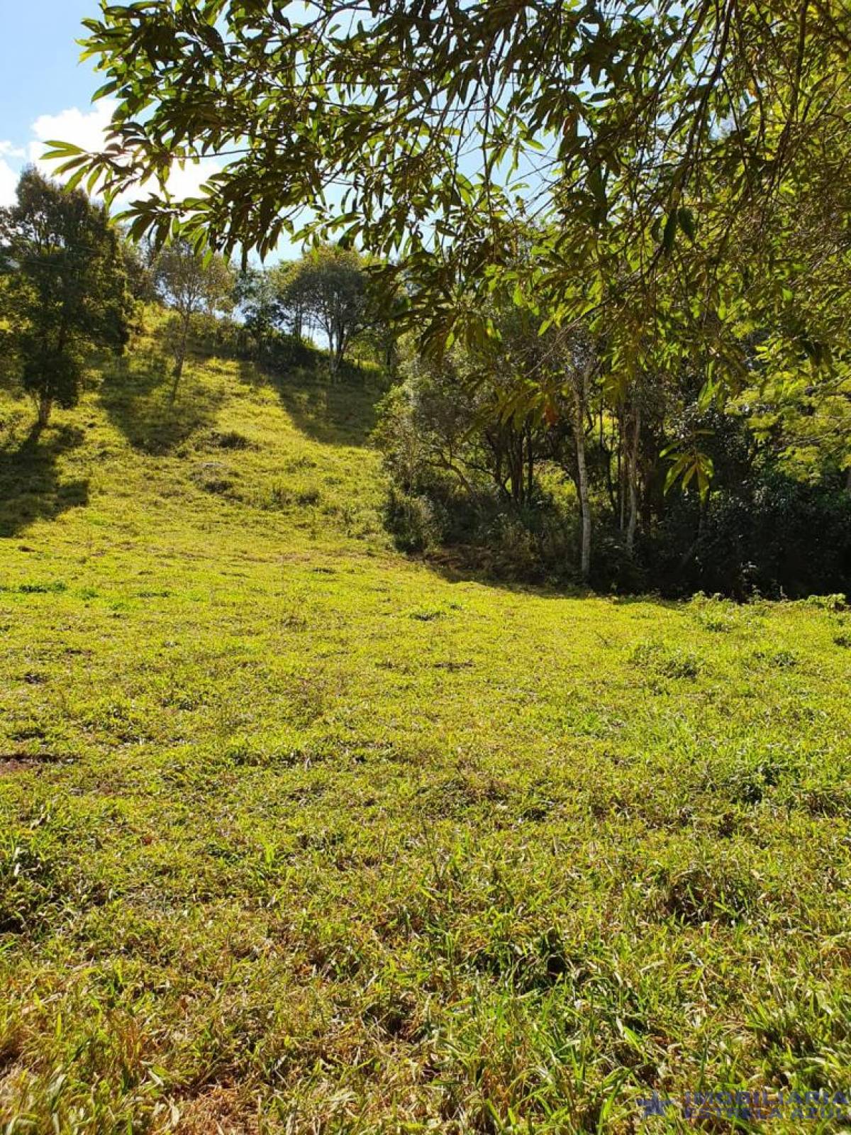 Sítio no bairro Furnas