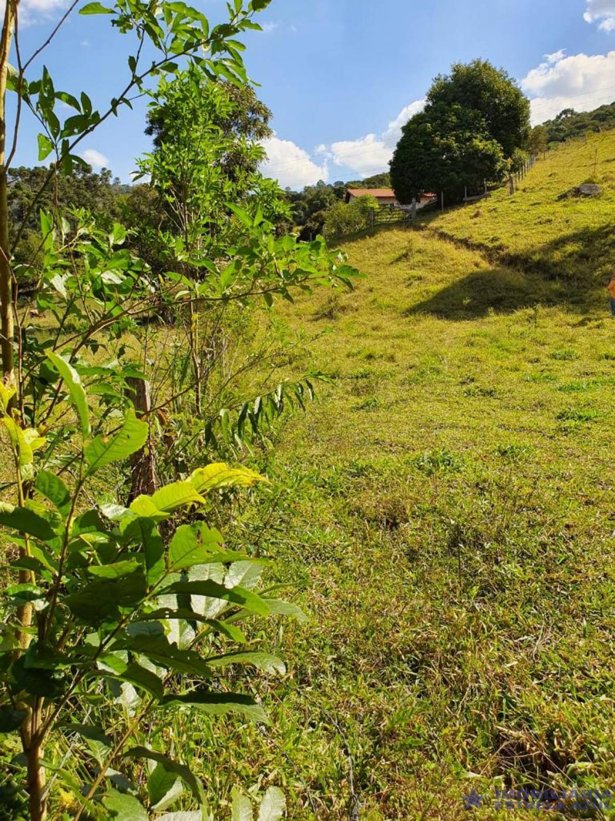 Sítio no bairro Furnas
