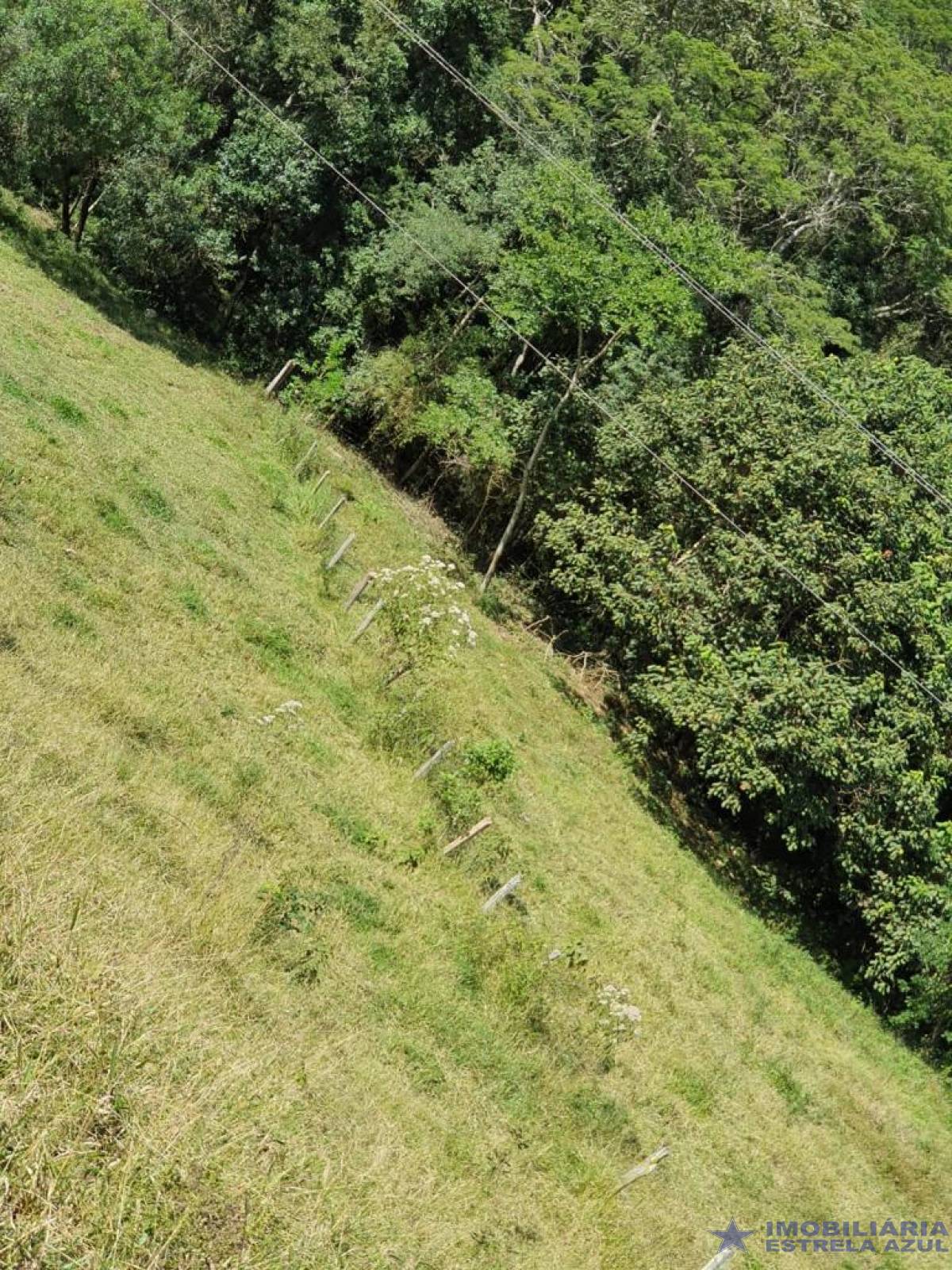 Sítio no bairro Furnas