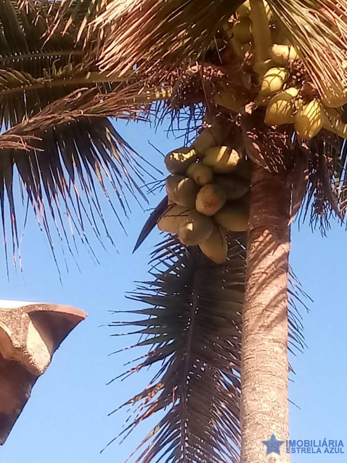 Casa no bairro Convento Velho