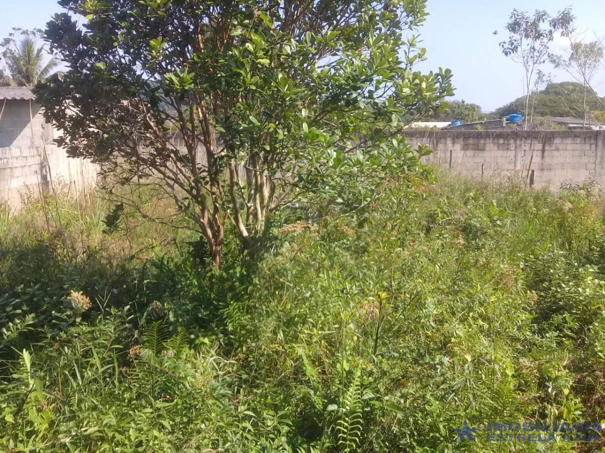 Terreno no bairro Vatrapua 