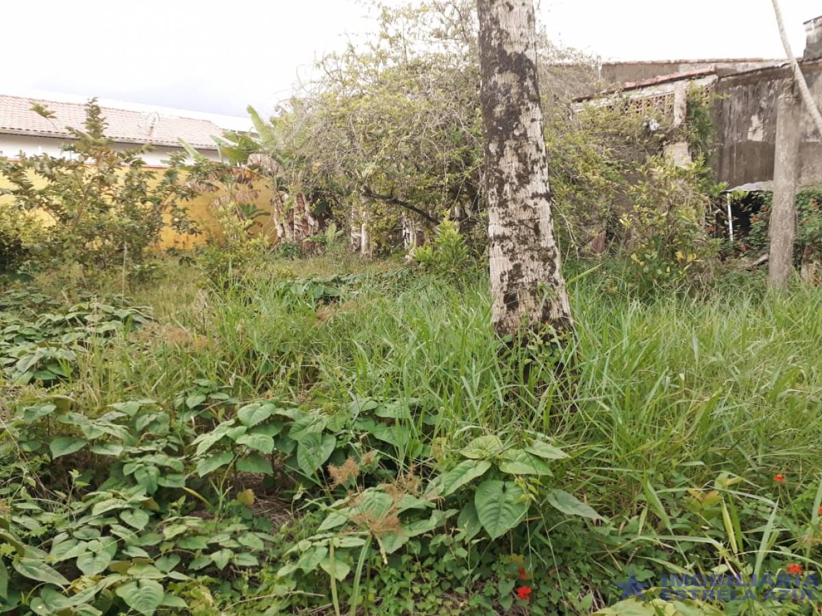 Terreno no bairro Jardim Real