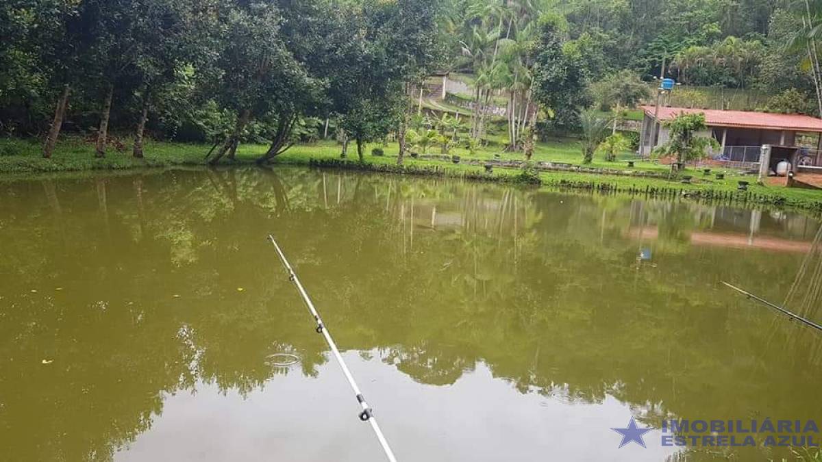 Sítio no bairro Martin Afonso 